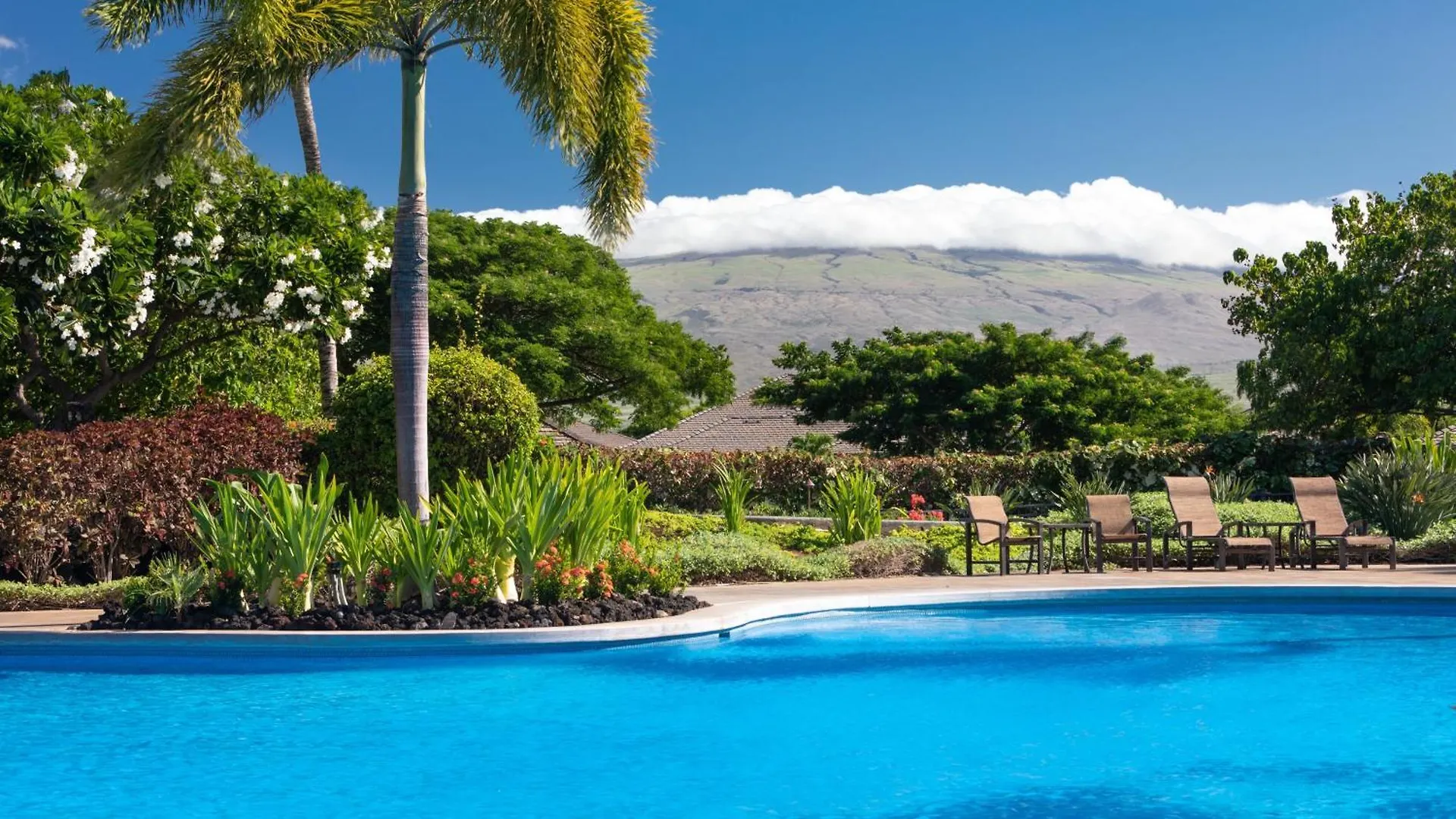 Lotus Pad Vibrant Kamilo 4Br Home With Heated Pool And Spa Waikoloa Holiday home