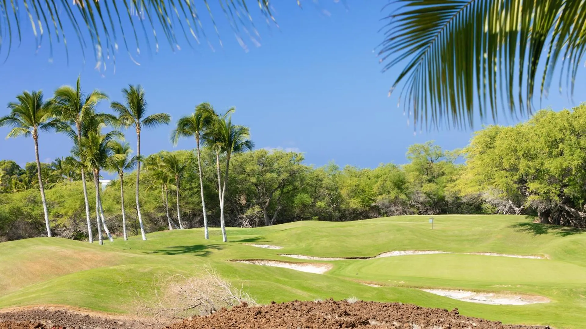 Holiday home Lotus Pad Vibrant Kamilo 4Br Home With Heated Pool And Spa Waikoloa United States
